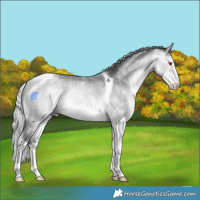 Horse Color:White Spotted Silver Bay Chinchilla Tobiano Rabicano