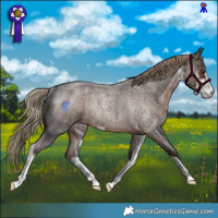 Horse Color:White Spotted Liver Red Roan Rabicano 