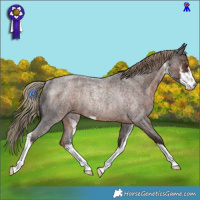 Horse Color:White Spotted Liver Red Roan Rabicano 