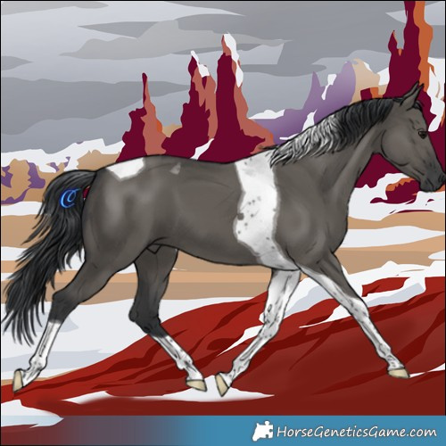 Horse Color:Grullo Tobiano 