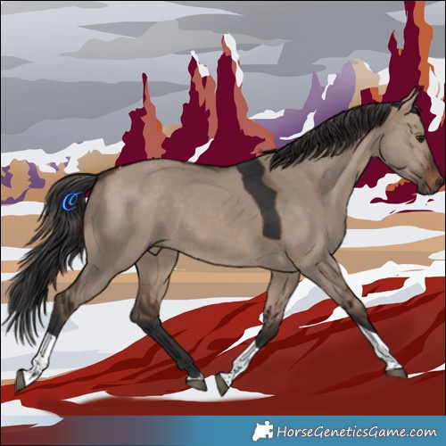Horse Color:Brown Dun Tobiano 