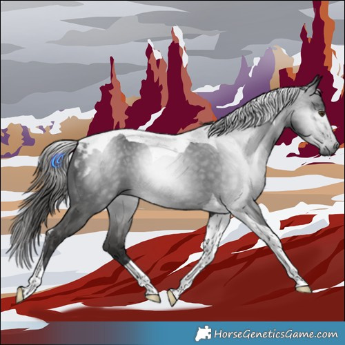 Horse Color:Gray Liver Chestnut Tobiano 
