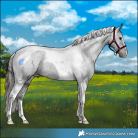 Horse Color:Black Tobiano Varnish