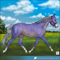 Horse Color:Watercolor Silver Black 
