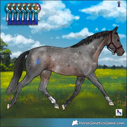 Horse Color:Brown 