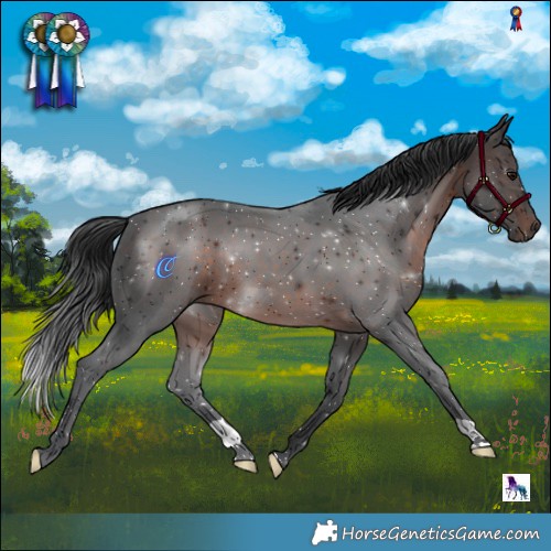 Horse Color:Brown 