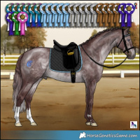 Horse Color:Chocolate Brown Chinchilla