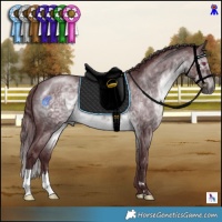 Horse Color:Chocolate Brown Chinchilla 