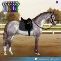 Horse Color:Chocolate Brown Chinchilla 