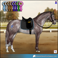 Horse Color:Chocolate Brown Chinchilla