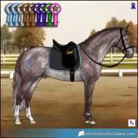 Horse Color:Chocolate Brown Chinchilla