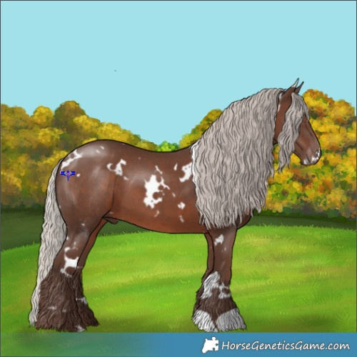 Horse Color:White Spotted Silver Black 