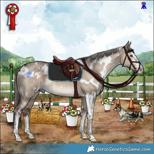 Horse Color:White Spotted Liver Red Dun Mushroom 