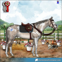 Horse Color:White Spotted Liver Red Dun Mushroom