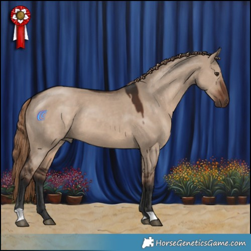 Horse Color:Liver Red Dun 