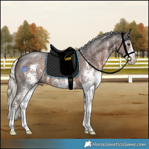 Horse Color:Liver Chestnut Mushroom Sabino 