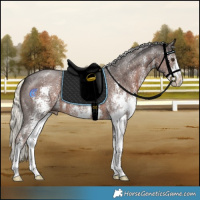 Horse Color:Liver Chestnut Mushroom Sabino