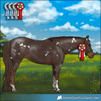 Horse Color:White Spotted Liver Chestnut Tobiano 