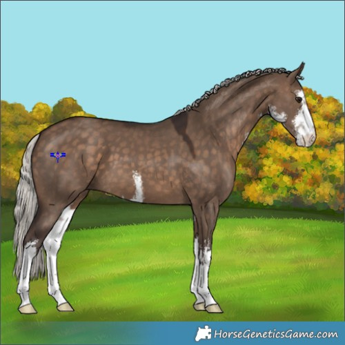 Horse Color:White Spotted Silver Brown Dun 