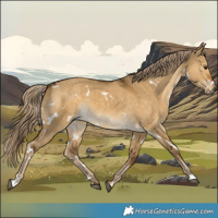 Horse Color:White Spotted Chocolate Palomino Dun 