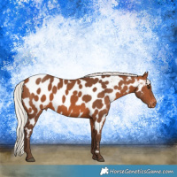 Horse Color:Silver Brown Near Leopard 