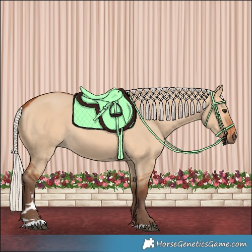 Horse Color:Silver Bay Dun 