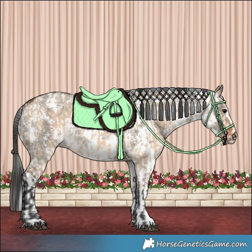 Horse Color:Bay Dun Rabicano  and Grullo Sabino Rabicano 