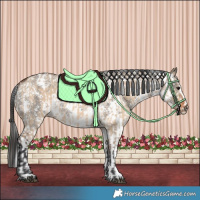 Horse Color:Bay Dun Rabicano  and Grullo Sabino Rabicano 