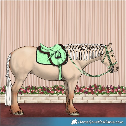 Horse Color:Silver Amber Champagne Dun Rabicano 