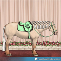 Horse Color:Silver Amber Champagne Dun Rabicano 