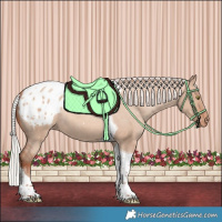Horse Color:Silver Sable Champagne Dun Tobiano Appaloosa Rabicano