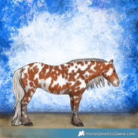 Horse Color:Silver Bay Near Leopard 
