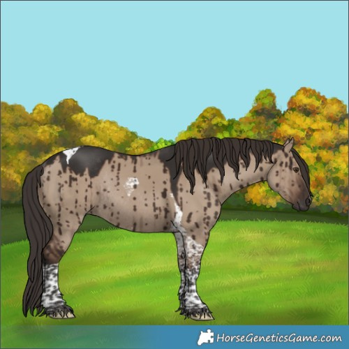 Horse Color:Liver Red Dun Tobiano Rabicano Brindle 