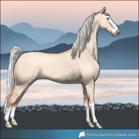Horse Color:Silver Amber Champagne Dun Splash 