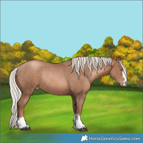 Horse Color:Silver Black Pearl Rabicano 