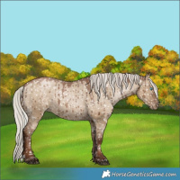 Horse Color:Gray Silver Grullo Pearl Snowflake Varnish Rabicano Brindle 