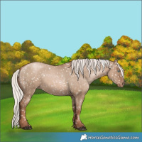 Horse Color:Silver Grullo Pearl Appaloosa Brindle 