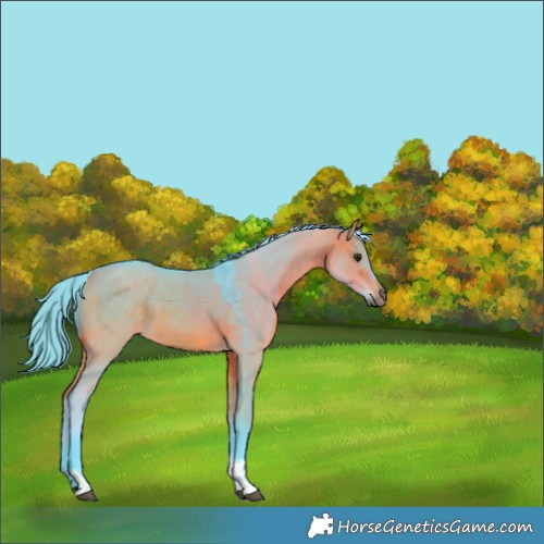 Horse Color:Watercolor Bay Dun Tobiano Rabicano 