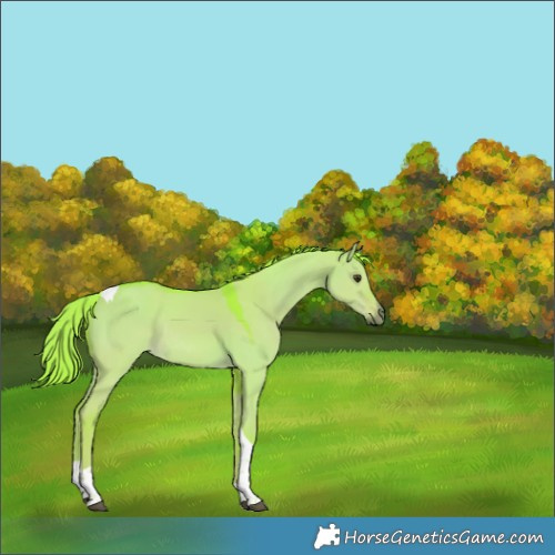 Horse Color:Watercolor Liver Red Dun Tobiano Rabicano 