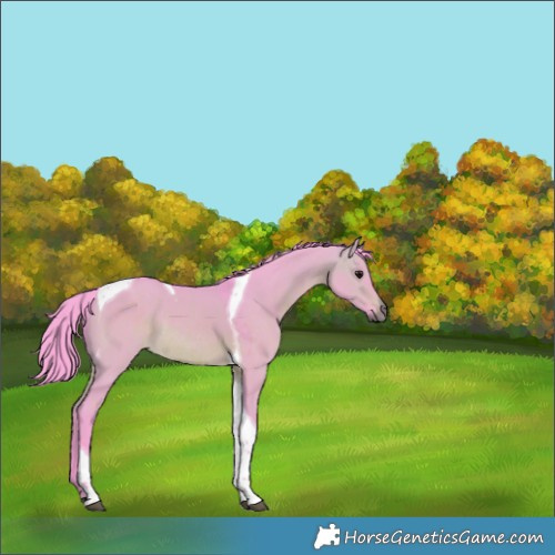 Horse Color:Watercolor Brown Dun Tobiano Rabicano 