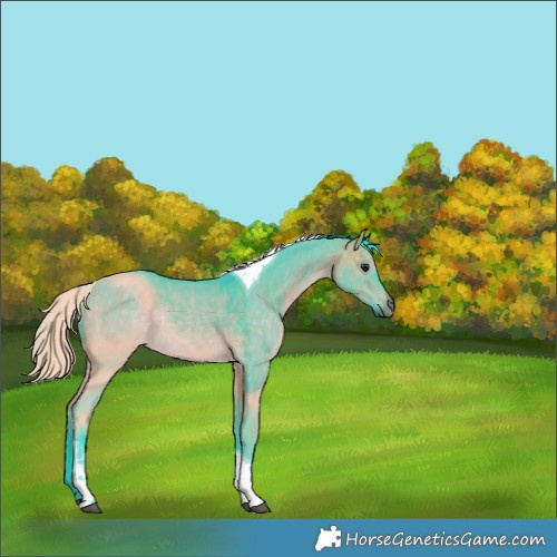 Horse Color:Watercolor Brown Dun Tobiano Rabicano 