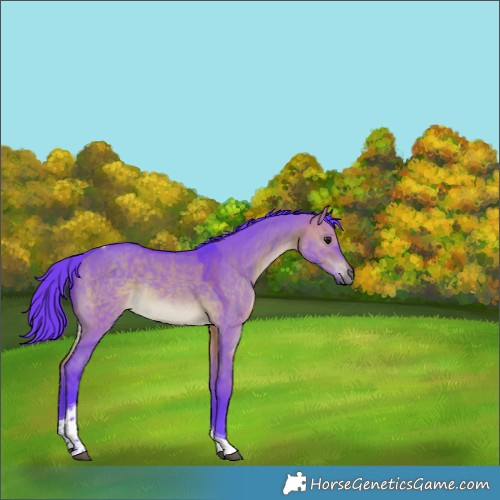 Horse Color:Watercolor Brown Dun Tobiano Rabicano 