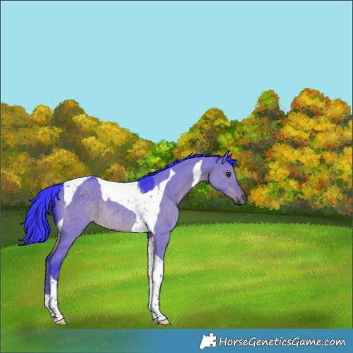 Horse Color:Watercolor Liver Red Dun Tobiano Rabicano 