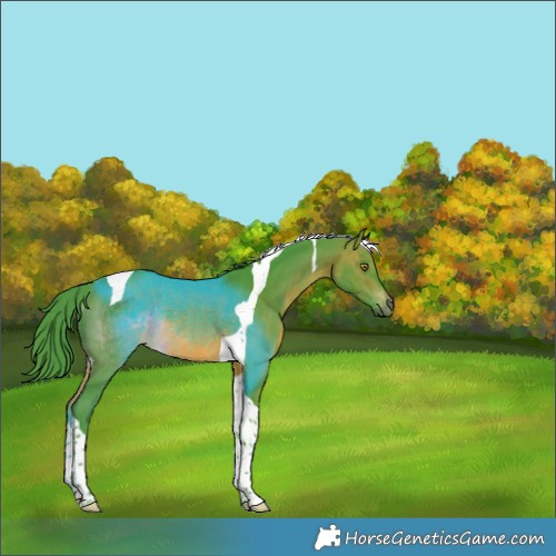 Horse Color:Watercolor Brown Tobiano Rabicano 