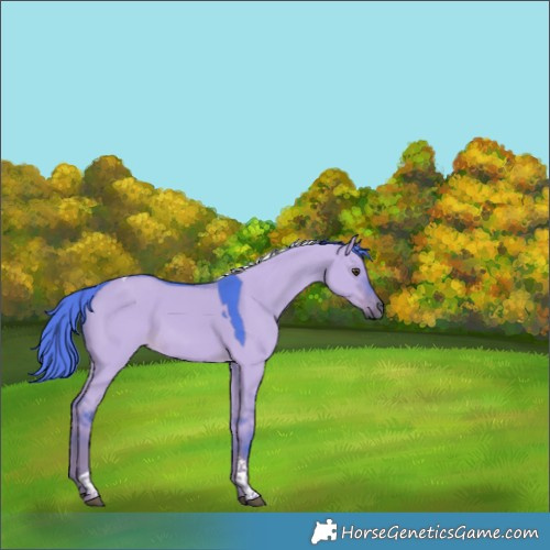 Horse Color:Watercolor Liver Red Dun Tobiano Rabicano 