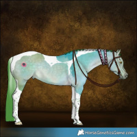 Horse Color:Watercolor Brown Dun Tobiano Rabicano