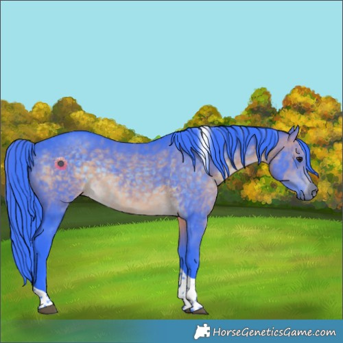 Horse Color:Watercolor Brown Tobiano Rabicano 