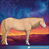 Horse Color:Gold Champagne Rabicano