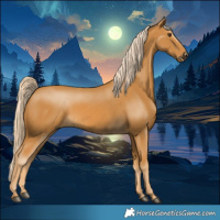 Horse Color:Palomino 