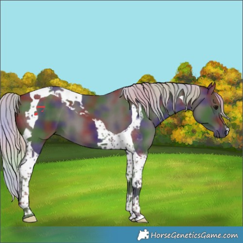 Horse Color:Nacre Silver Black Tobiano 